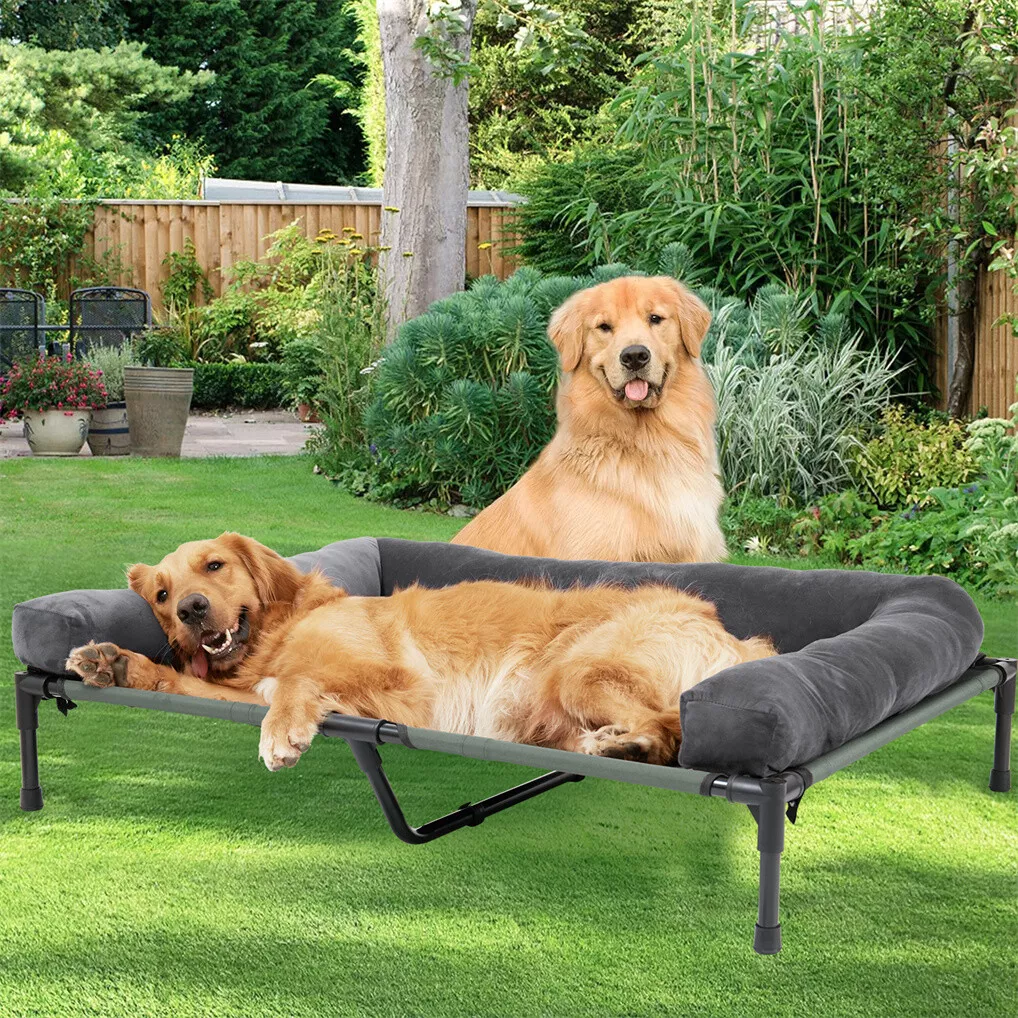 Outdoor Camping Dog Bed - 빙고파우 야외용 강아지 침대, 높이 조절