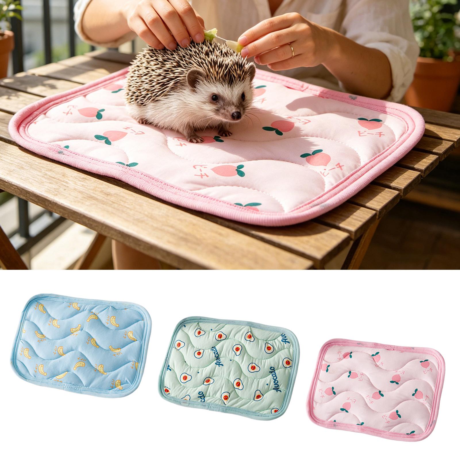 세탁 가능한 애완동물 냉각 매트, 소형 동물용 수면 침 - Outdoor Camping Dog Bed 리뷰 및 가격