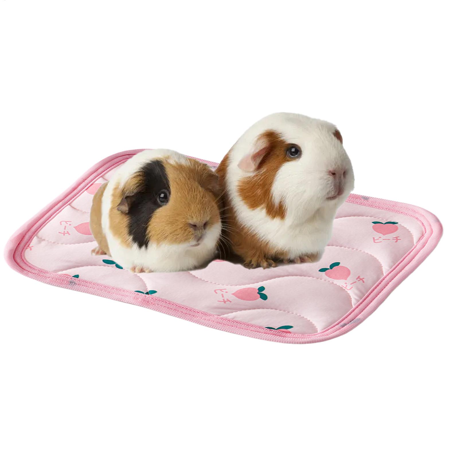 세탁 가능한 애완동물 냉각 매트, 소형 동물용 수면 침 - Outdoor Camping Dog Bed 리뷰 및 가격