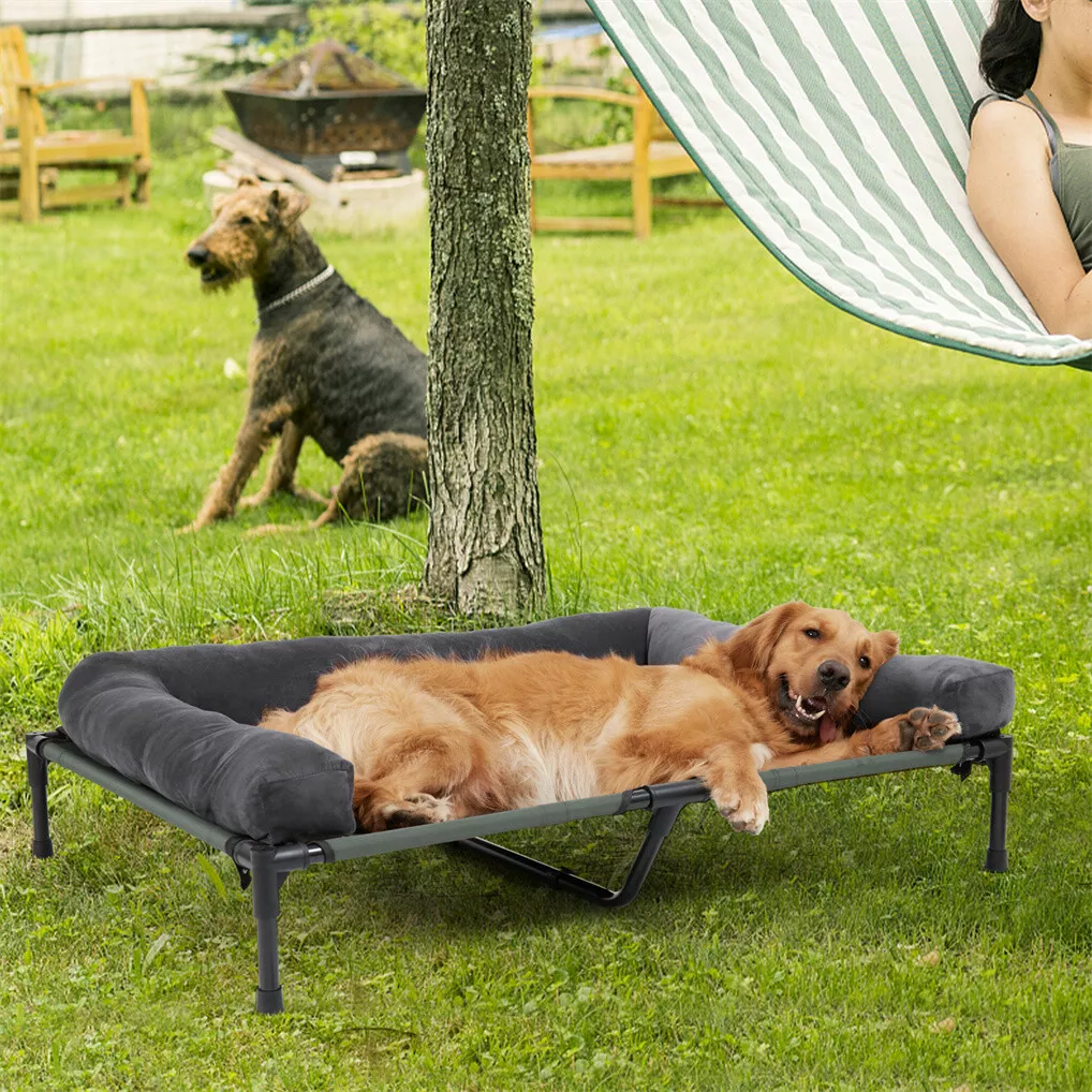 빙고파우 야외용 강아지 침대, 높이 조절 가능한 쿨링  - Outdoor Camping Dog Bed 리뷰 및 가격